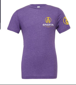 Unisex Purple Classic Triblend Tshirt