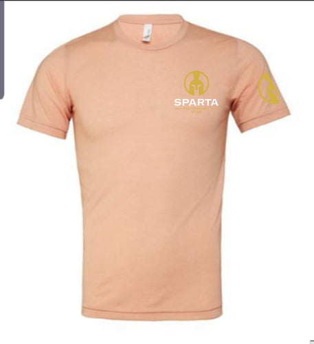 Unisex Peach Classic Triblend Tshirt